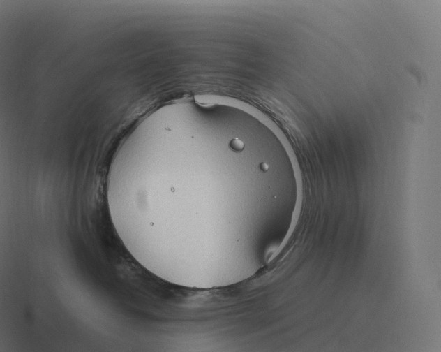 X0000116310382200912291456