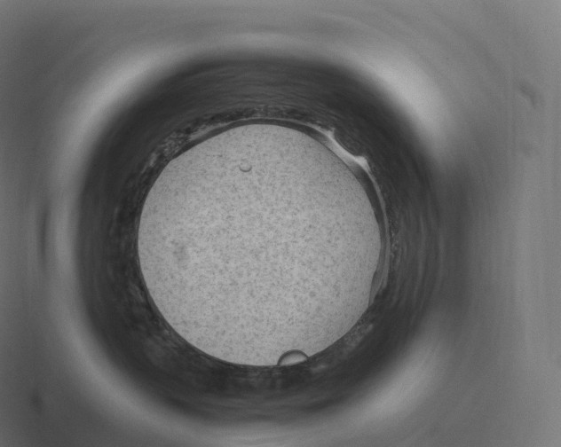 X0000116310383200912291456