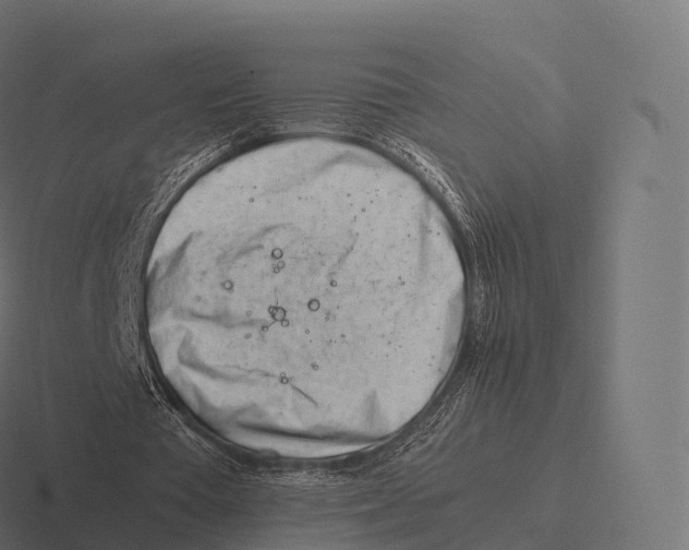 X0000116310385200912291455