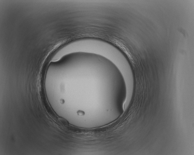 X0000116310395200912291455