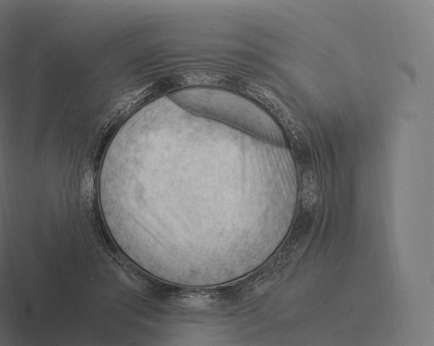 X0000116310405200912291455