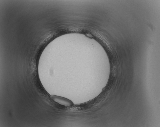 X0000116310407200912291455