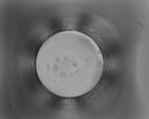 X0000116310415200912291455