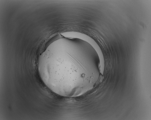 X0000116310424200912291455