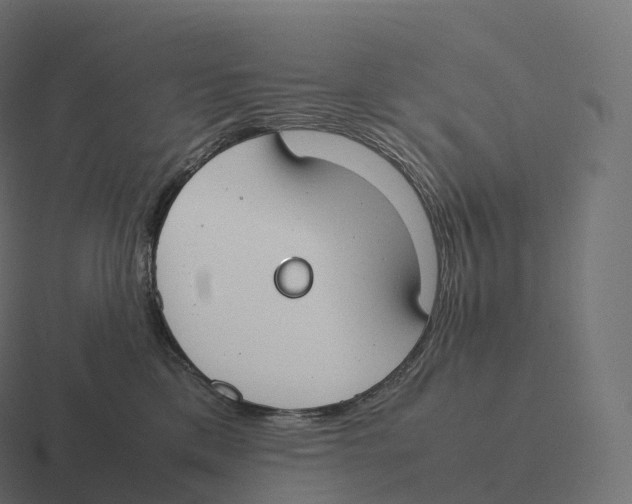 X0000116310425200912291455