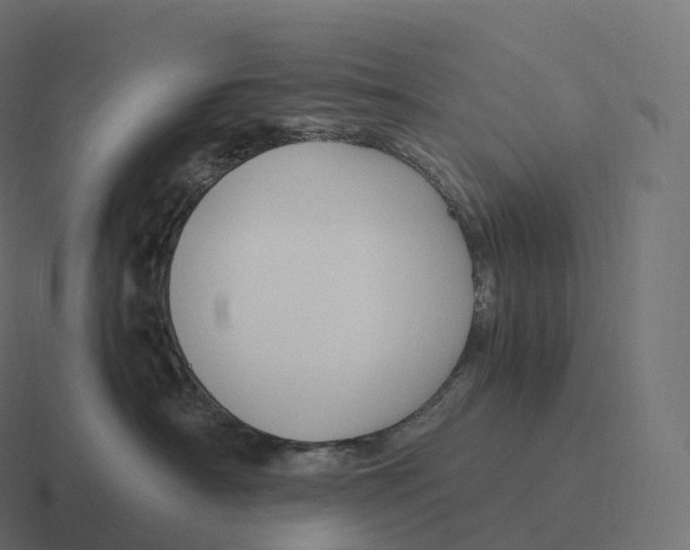 X0000116310430200912291455