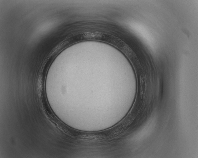 X0000116310435200912291454