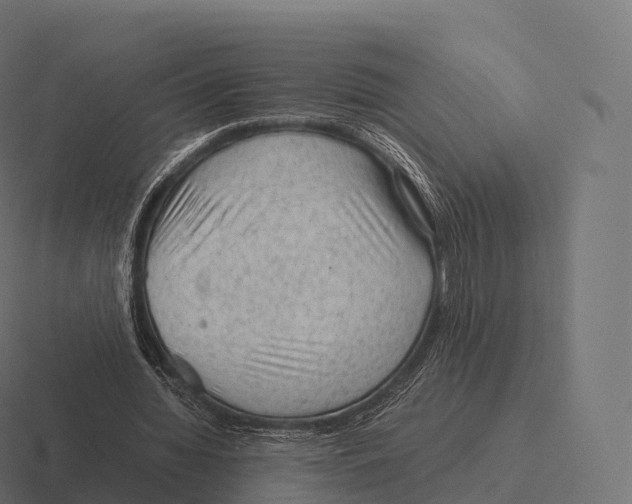 X0000116310436200912291454