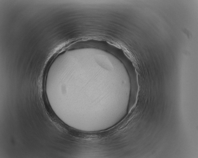 X0000116310438200912291454