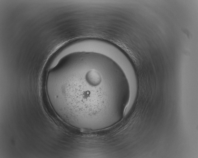 X0000116310440200912291454