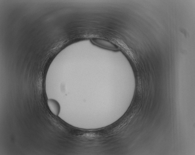 X0000116310441200912291454