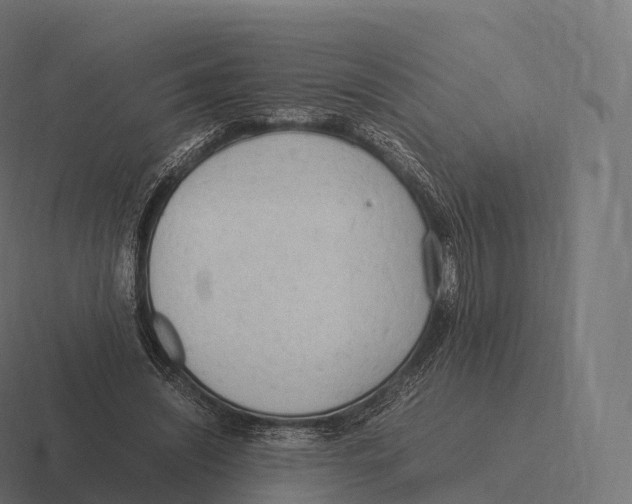 X0000116310444200912291454