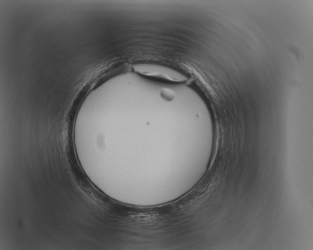 X0000116310447200912291454