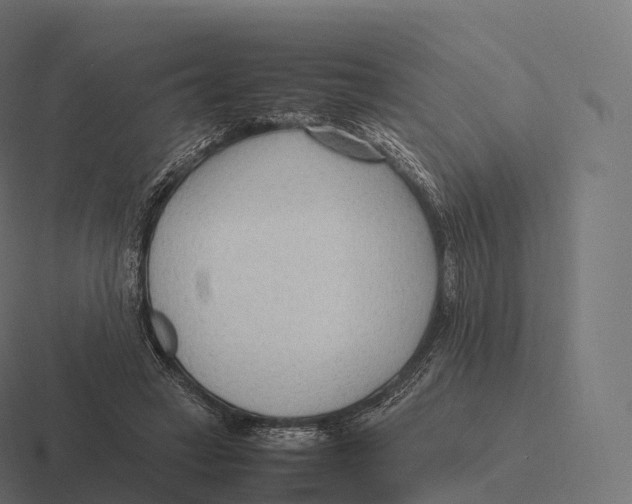 X0000116310449200912291454