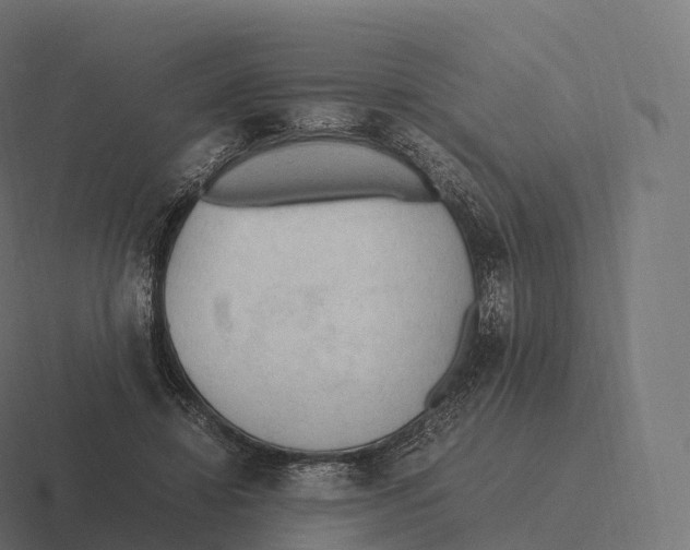 X0000116310452200912291454