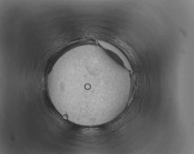 X0000116310465200912291454