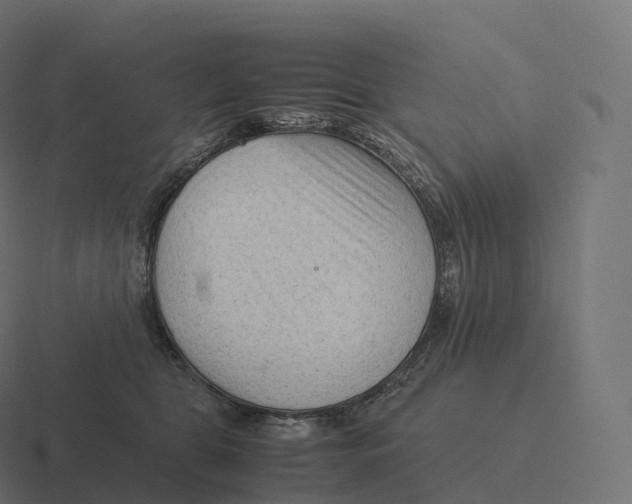 X0000116310469200912291454