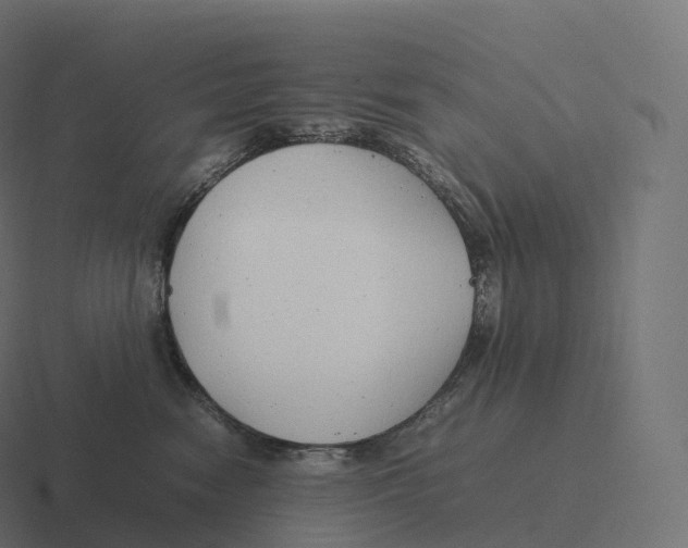 X0000116310474200912291454