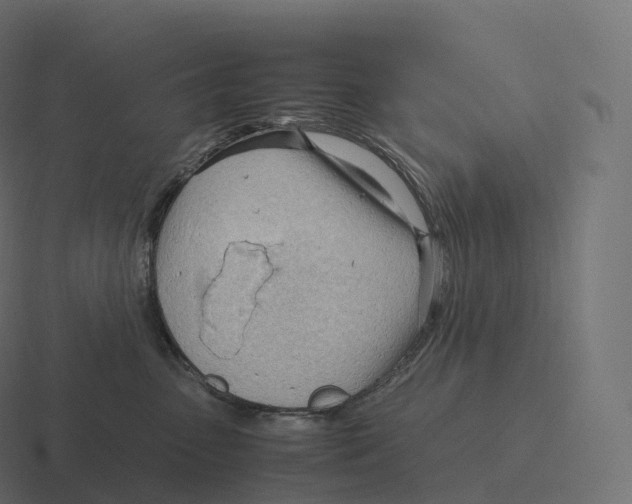 X0000116310475200912291454