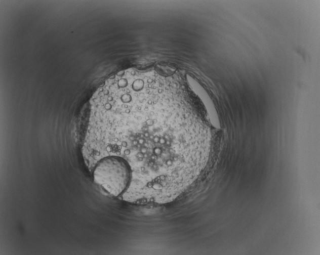 X0000116310479200912291455