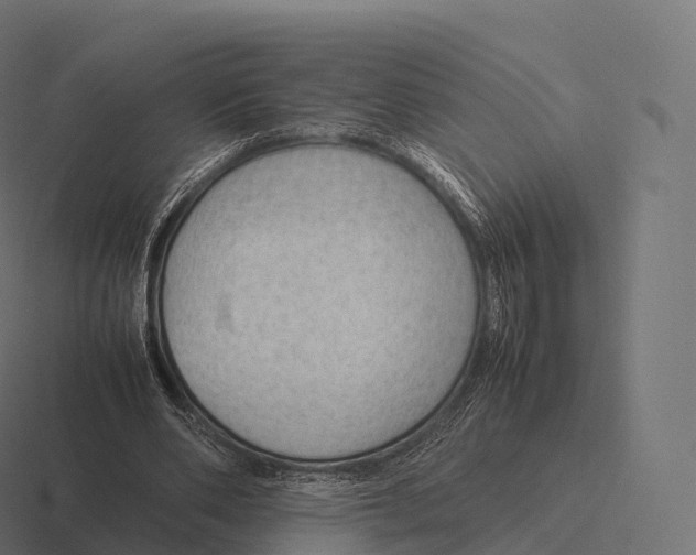 X0000116310486200912291454