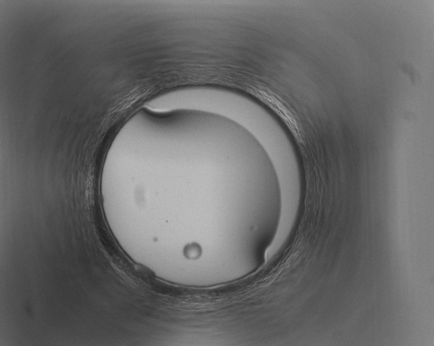 X0000116310489200912291454