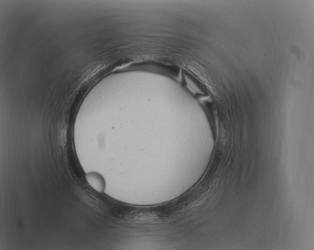 X0000116310491200912291454