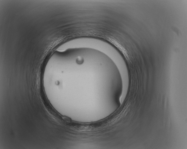 X0000116310493200912291454