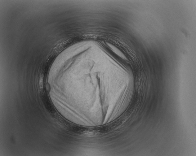 X0000116310504200912291454