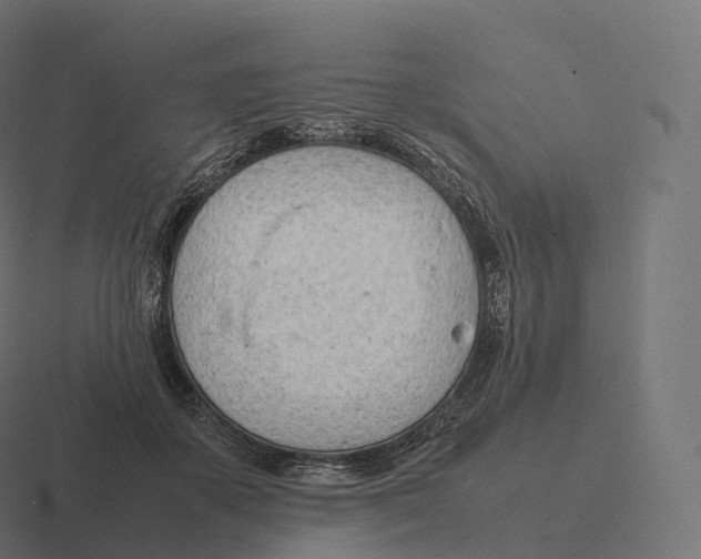 X0000116310507200912291454