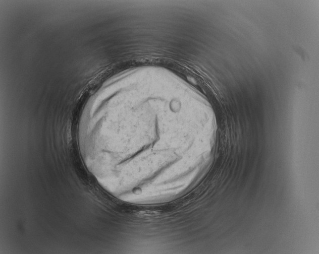 X0000116310508200912291454