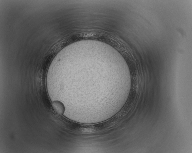 X0000116310510200912291454