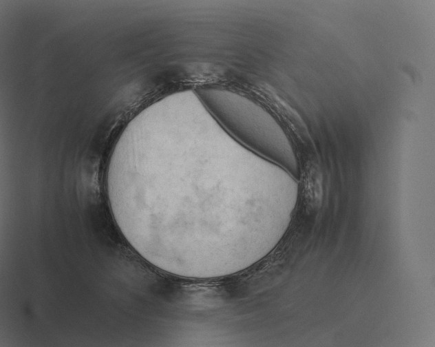 X0000116310516200912291454