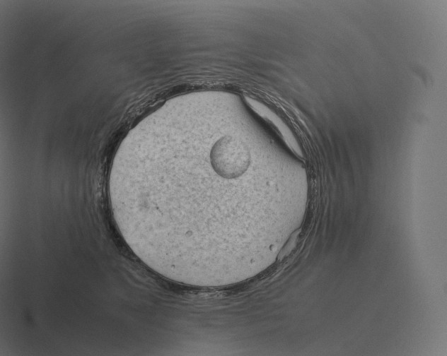 X0000116310517200912291453