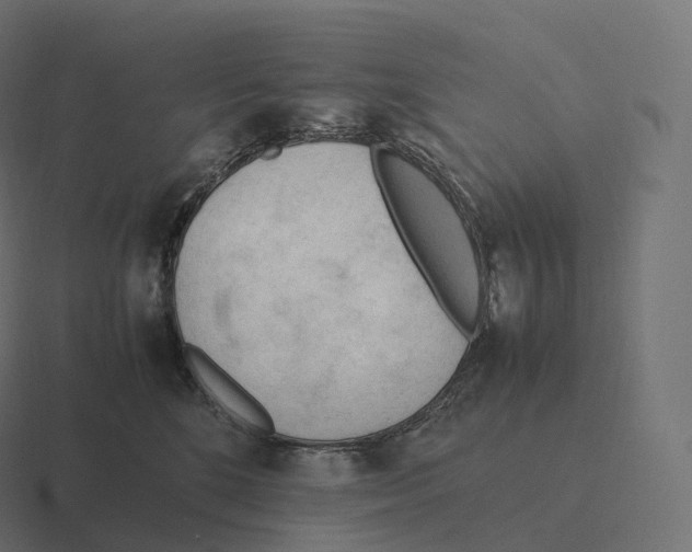 X0000116310520200912291453