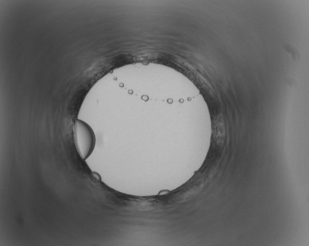 X0000116310523200912291453