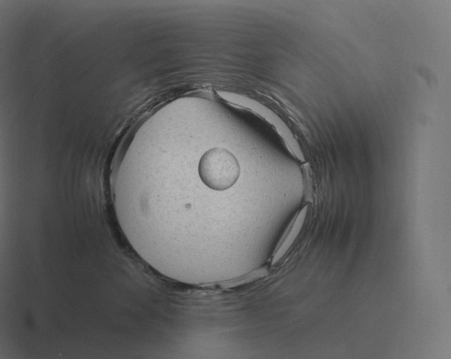 X0000116310524200912291453