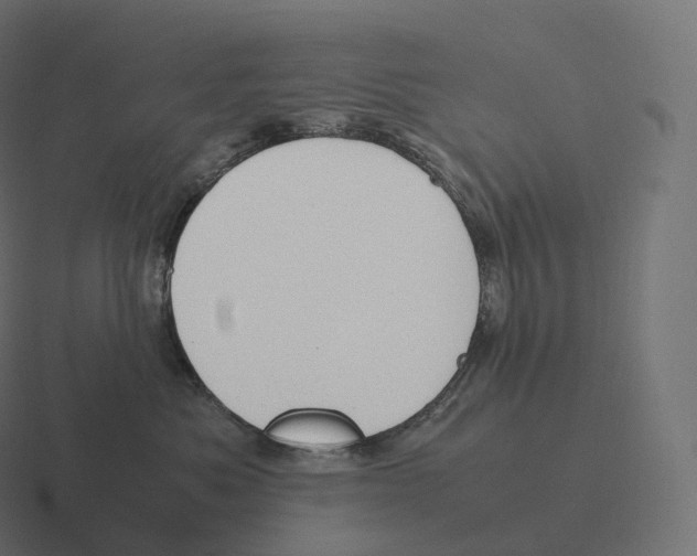 X0000116310525200912291453