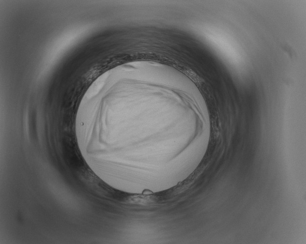 X0000116310526200912291453