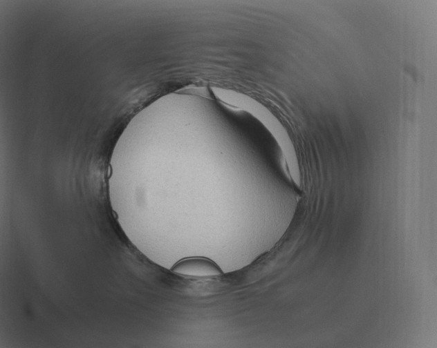 X0000116310527200912291453