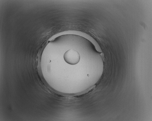 X0000116310528200912291453