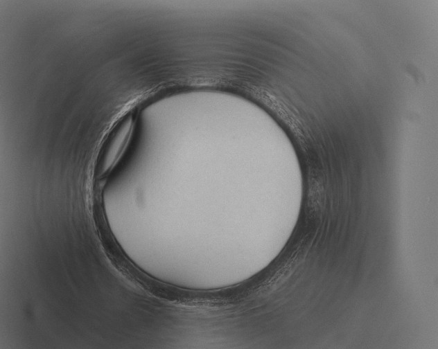 X0000116310530200912291453