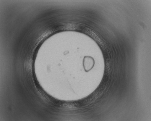 X0000116310534200912291453