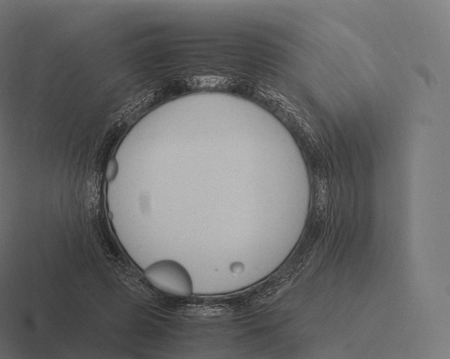 X0000116310545200912291453