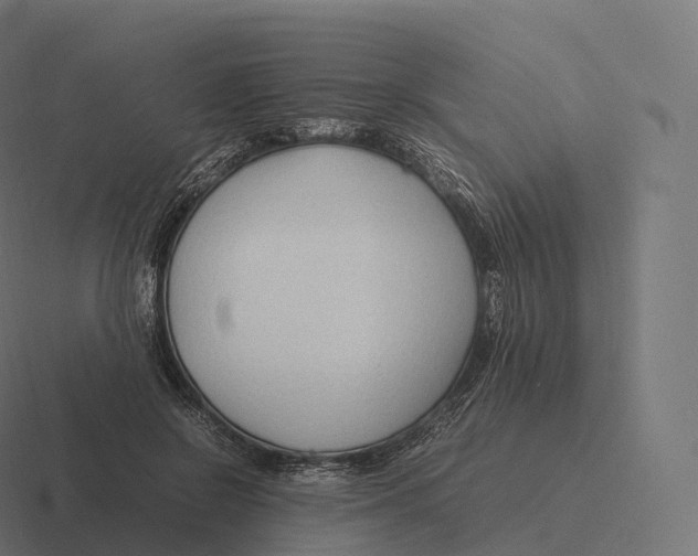 X0000116310550200912291453