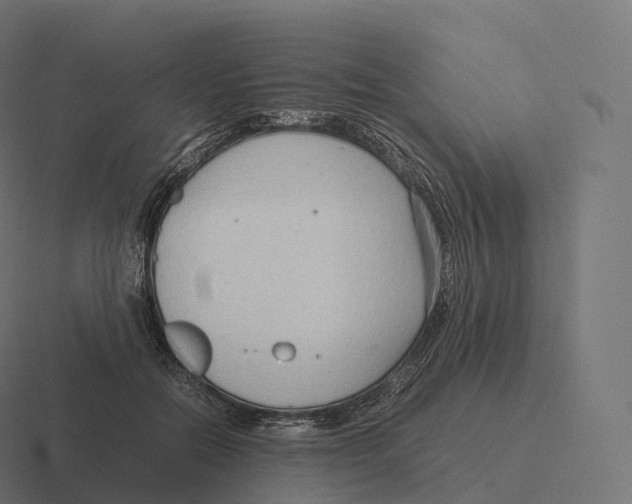 X0000116310554200912291453