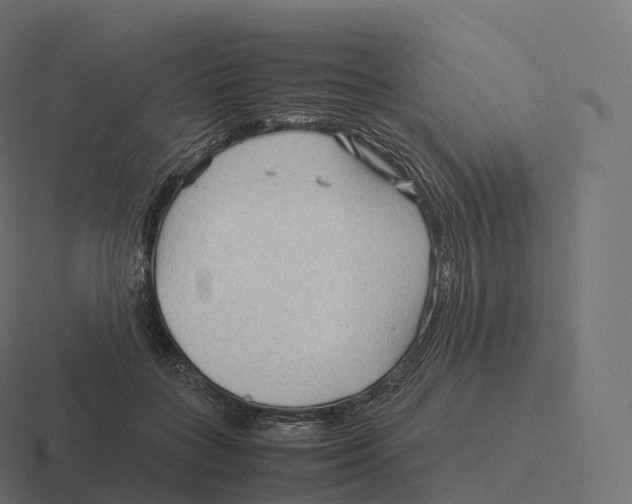 X0000116310555200912291453