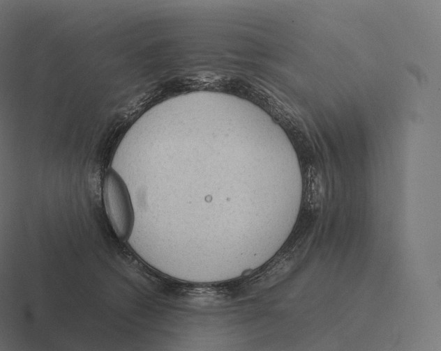 X0000116310562200912291453