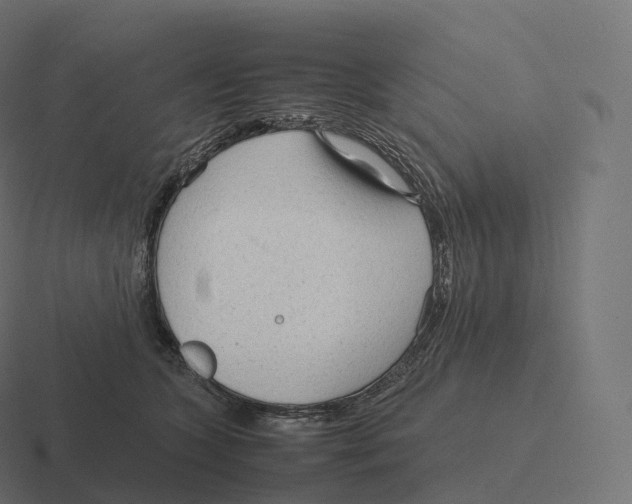 X0000116310563200912291453