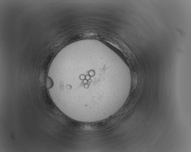 X0000116310565200912291453